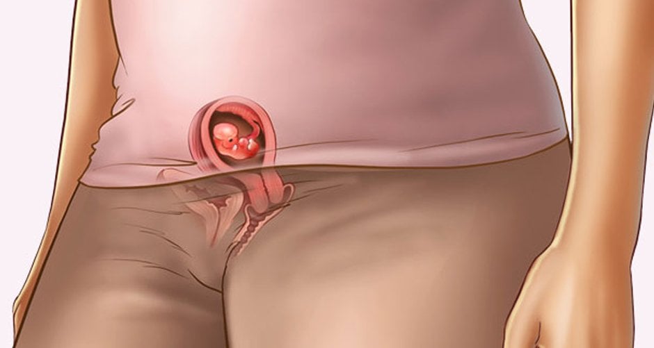 Беременный Живот Порно
