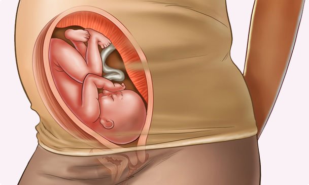 30 Weeks Pregnant 30 Weeks Pregnant Symptoms Baby At 30 Weeks Huggies India
